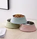 cat elevated bowl
